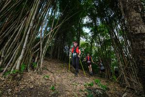 BIB: 
                            <button type="button" onclick="openModal(19395756)" class="btn btn-primary btn-sm float-right btn-popup" data-toggle="modal" data-target=".modal-high-quality">
                        <i class="fas fa-shopping-cart"></i> Add to Cart
                    </button>
                                            <button type="button" onclick="isThisMe(19395756, true)" class="btn btn-success btn-sm float-right btn-popup btn-isme hidden" data-toggle="tooltip" data-placement="bottom" title="นี่คือรูปของคุณใช่ไหม คลิกที่นี่เพื่อเอาเข้าอัลบั้ม">
                        <i class="fas fa-plus"></i> Add to album
                    </button>
                    <button type="button" onclick="isThisMe(19395756, false)" class="btn btn-warning btn-sm float-right btn-popup btn-isnotme hidden">
                        <i class="fas fa-ban"></i> Remove from album
                    </button>